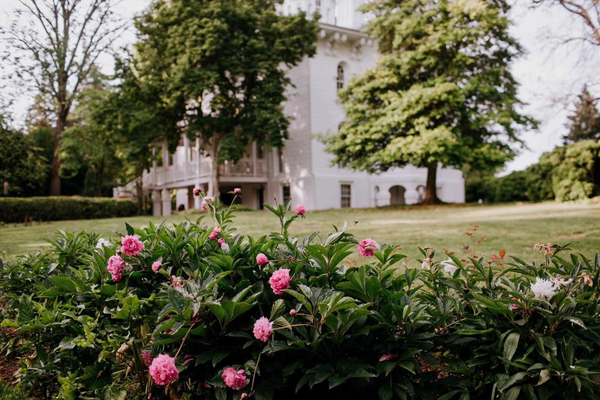 Mayhurst Estate 오렌지 외부 사진